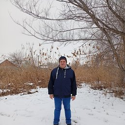 ������, 43 ����, ���������