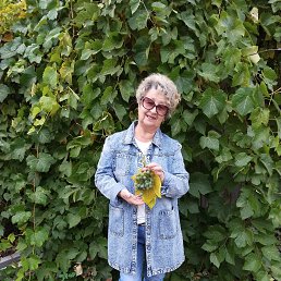 ���� ������, �������, 72 ���� - ��������� 23 ������ 2024