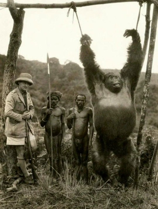 �� ���� ��������� ����������� �������������� ������� ����� � ����� �������� �������� �� ������� ...