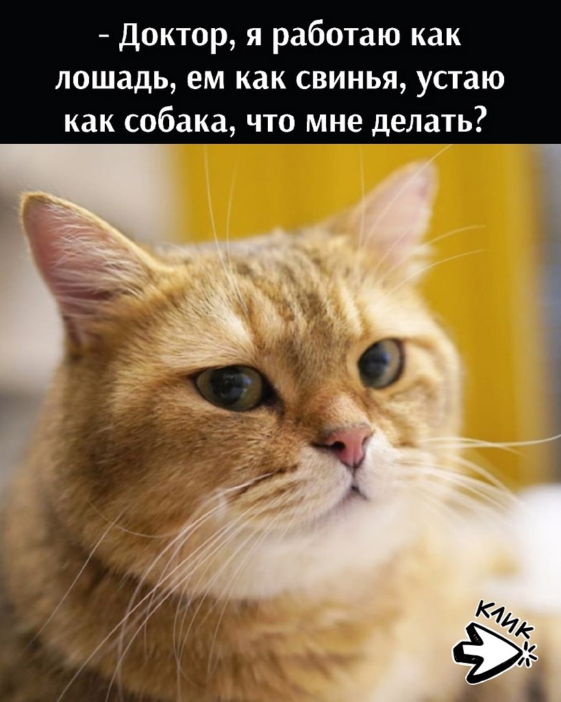 ��� ���� � ����� �� �� - 1 ������ 2026 � 17:30