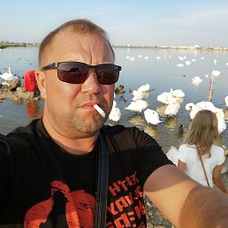 �������, ������, 48 ���