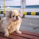 ���� Dima, ������, 53 ���� - ��������� 14 ������� 2024