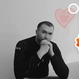 ���������, 36 ���, ����