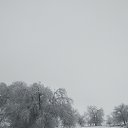 ���� Bek, ������, 43 ���� - ��������� 14 ����� 2024 � ������ ���� ����������