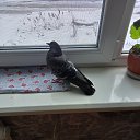 ���� �����, ��������, 60 ��� - ��������� 19 ��� 2024 � ������ ����� ��� ������������