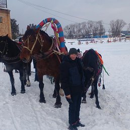 ������� ���������, ������, 43 ����