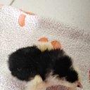 ���� �������, ������, 47 ��� - ��������� 30 ���� 2025