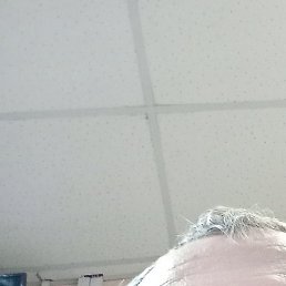 ����, ����������, 41 ���