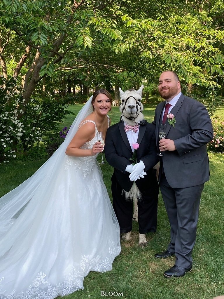  a.  o ap  po aepa a  oa aa  co aa aa, o c  aa ...