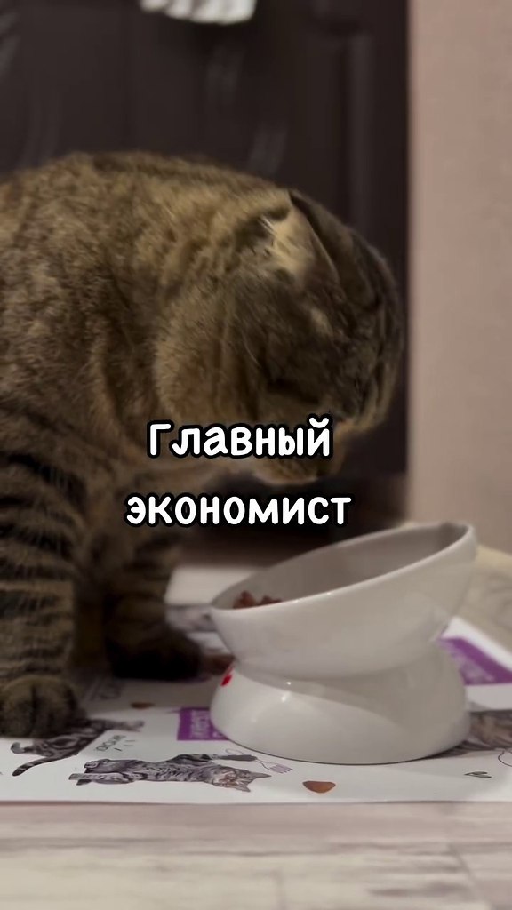      !