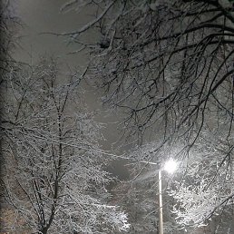 �������, ������, 54 ����