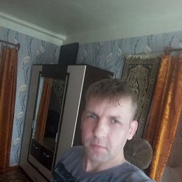 ���� ����, ��������, 42 ���� - ��������� 28 ������� 2026