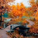  , -, 56  -  15  2024    