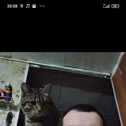 �������, 39 ���, ������������