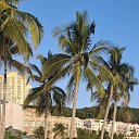 ���� ����, ������, 62 ���� - ��������� 19 ������� 2026 � ������ ���� ����������