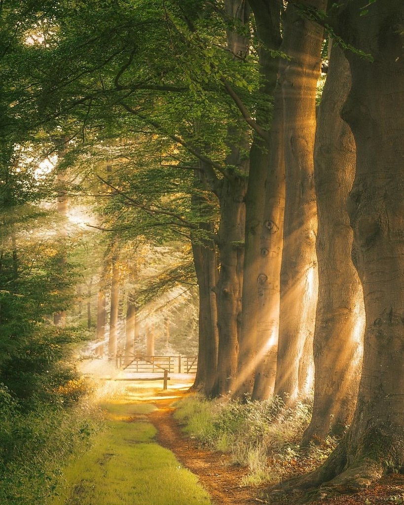 ������ �� ������ ���. ���� �� ���-�� ���������, ������ � ��� ���������� ������ ����� �����, �� ��� ... - 4