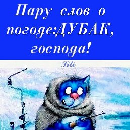 �����, ���������, 49 ���