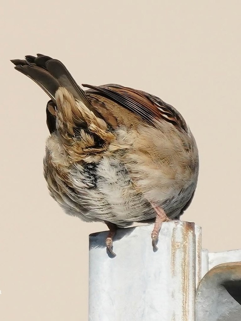 ,  !   ,     .  ... - 9