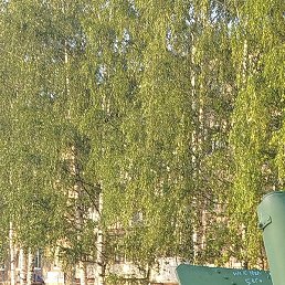 ������, �����, 44 ����