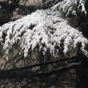  , , 53  -  26  2025   !! ! !!