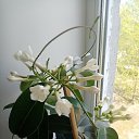  Galina,  -  13  2025    