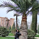 ���� C���� ��������, ������� - ��������� 30 ������ 2025 � ������ ���� ����������