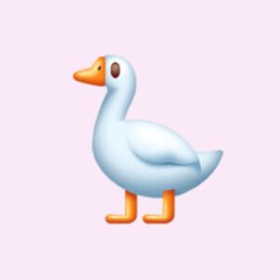 ����, ������, 25 ���