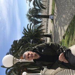 �����, 65 ���, ������