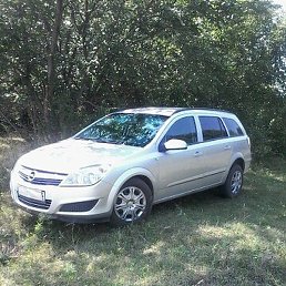 �����, ������, 49 ���