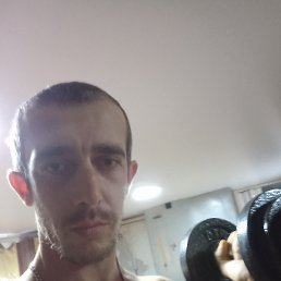 ���������, ����, 37 ���