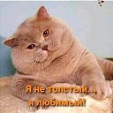 ���� ����, ��������� - ��������� 24 ������ 2023 � ������ ������ ��������