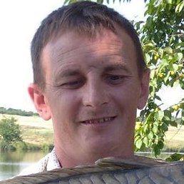 �������, ������, 41 ���