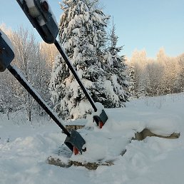 �����, �����, 43 ����