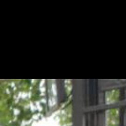 �����, ���, 49 ���