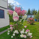 ���� �����, ����-�������, 63 ���� - ��������� 21 ������� 2025 � ������ ���� ����������