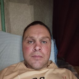 ����, 38 ���, ���������