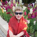 ���� �������, �����-���������, 54 ���� - ��������� 8 ����� 2024