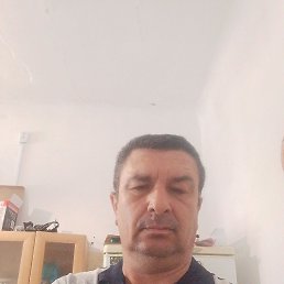 , 51, 