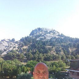 �������, �����, 46 ���