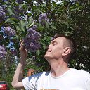 ���� �������, ������������, 51 ��� - ��������� 31 ��� 2025 � ������ ������ ������