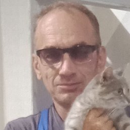 ������, ������, 51 ���