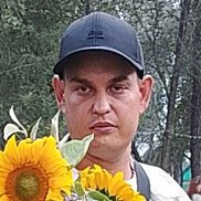 ���������, 31 ���, ����������