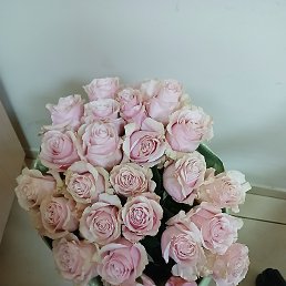 ���� ������, �����, 62 ���� - ��������� 18 ������� 2025