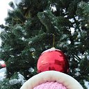 ���� ������, ������, 39 ��� - ��������� 29 ������� 2024 � ������ ���� ����������