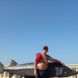 �������, �������, 54 ����