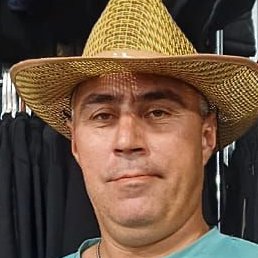 �����, ������, 41 ���