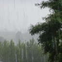 ��� �� �����, " ����� ��� �� �����"....) �����..... �� ������� ������ ��������