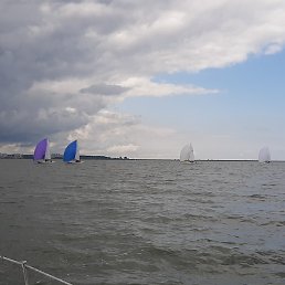 �������, �����-���������, 50 ���