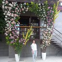 ���� �������, �������, 50 ��� - ��������� 31 ���� 2025 � ������ ���� ����������