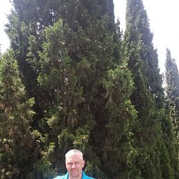 ���� ������, �����-���������, 50 ��� - ��������� 19 ������� 2024